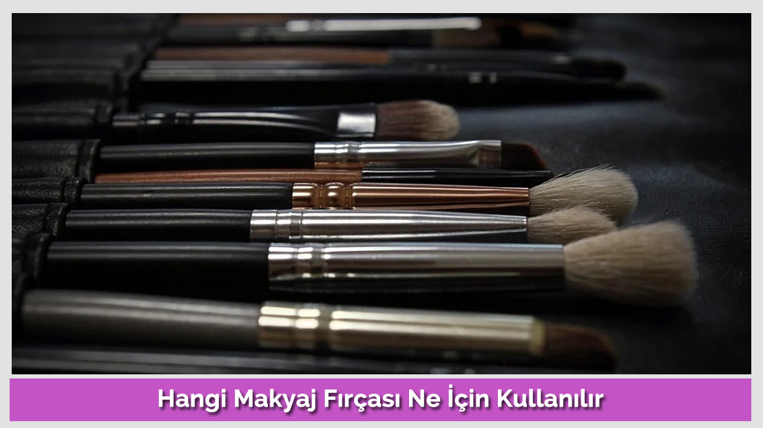 Which Makeup Brush Is Used For What?