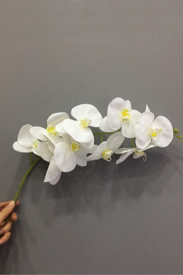 Beyaz Yapay Islak Orkide Çiçek