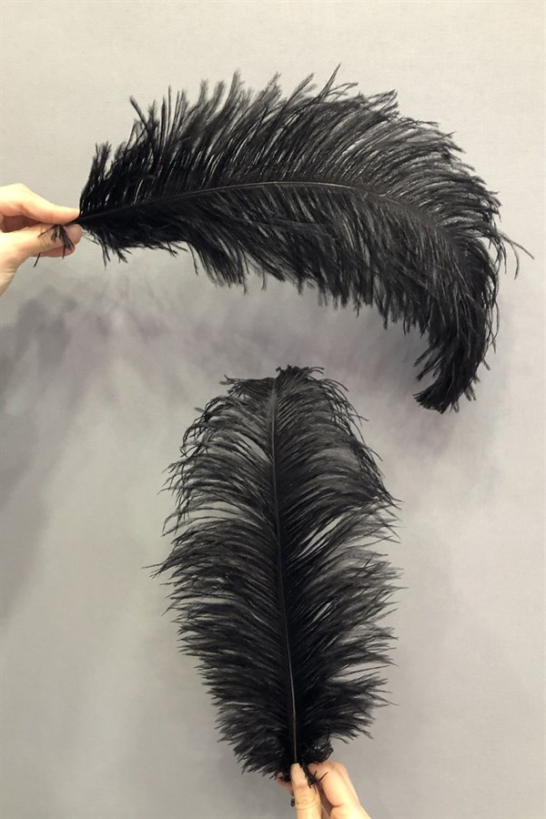 Siyah Deve Kuşu Tüyü 45-50 cm 1 adet