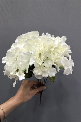 Beyaz Ortanca Çiçek
