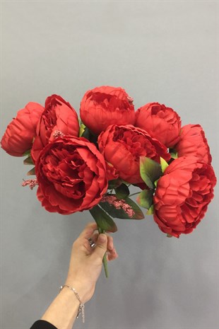 Kırmızı Büyük Şakayık Çiçek