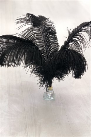 Siyah Deve Kuşu Tüyü 45-50 cm 1 adet