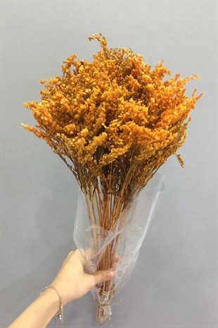 Turuncu Solidego Şoklanmış Kuru Çiçek