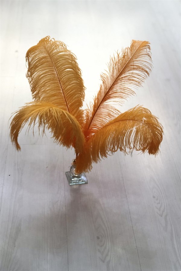 Turuncu Deve Kuşu Tüyü 45-50 cm 1 adet